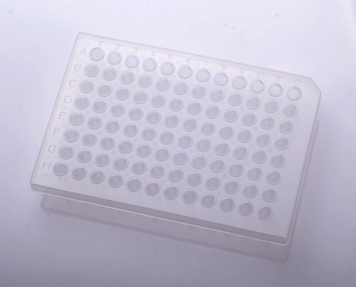 PCR��